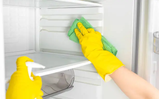 What Is Deep Cleaning in Northampton, MA