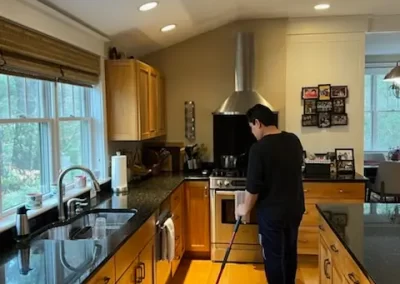 Professional Cleaner 2