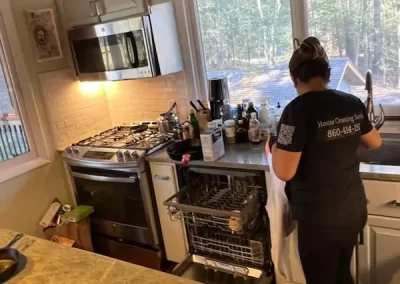 Professional Cleaner